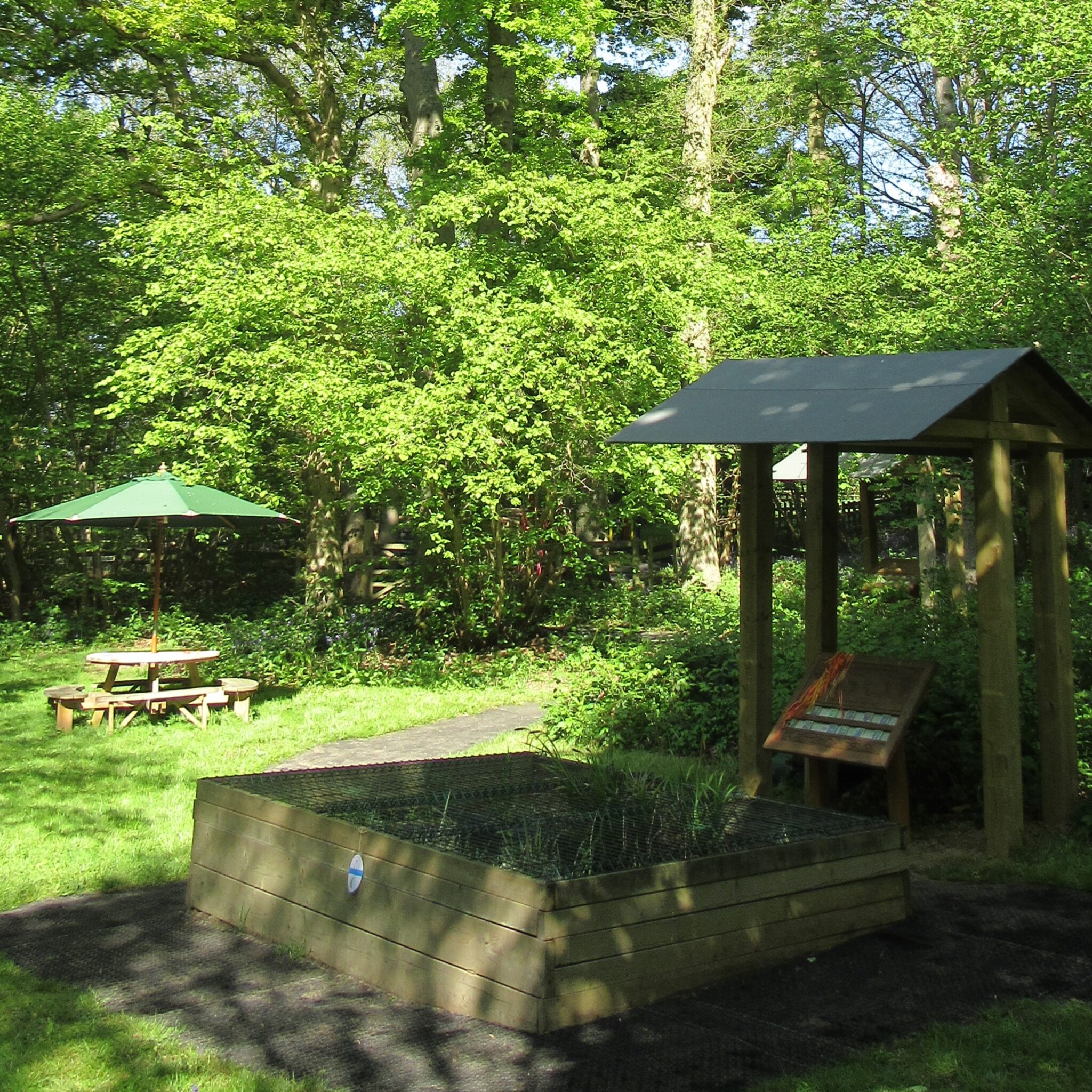 Camp Mohawk Pictures
